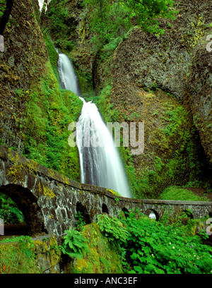 M00394M Réserve Naturelle Wahkeena tiff tombe avec la croissance de printemps Columbia River Gorge National Scenic Area Oregon Banque D'Images