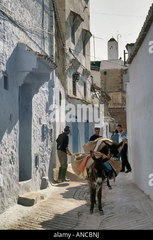 Passage au Medina Chechaouen Maroc Banque D'Images