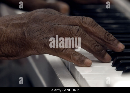 Gros plan de mains âgées jouant des touches de piano, capturant l'habileté musicale, l'expression de l'âme, et l'art intemporel à travers le toucher d'un m expérimenté Banque D'Images
