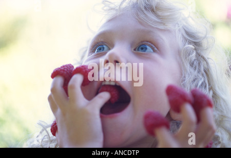 USA, Washington, Bellingham, six-year-old girl eating framboises de ses doigts. Banque D'Images
