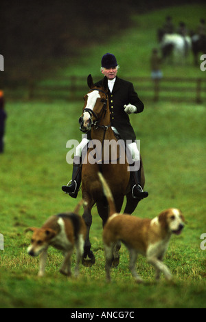 Le CAPITAINE IAN FARQUHAR MASTER COMMUN DE FOXHOUNDS AVEC LA CHASSE AU BEAUFORT UN LENDEMAIN DE RÉUNION À WORCESTER LODGE Banque D'Images