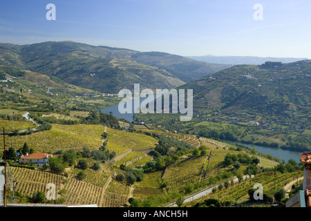 Le Portugal, la région de l'Alto Douro, le fleuve Douro près de Régua, les collines couvertes de vignobles produisant du vin de raisin Banque D'Images