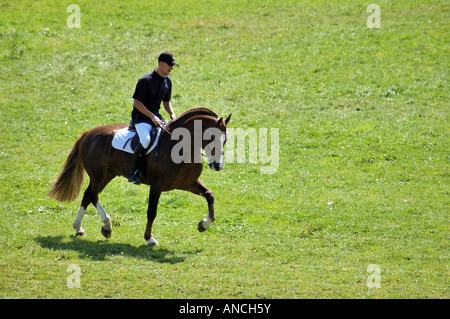 Un cavalier pratiquant le dressage dans un champ vert Banque D'Images