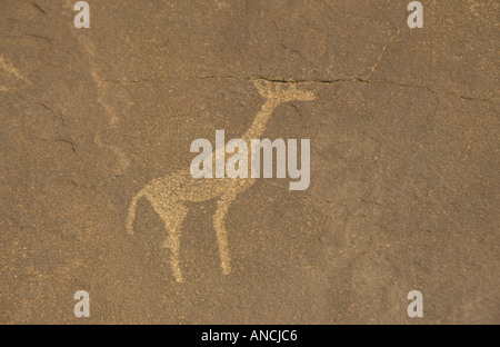 Pétroglyphes archéologie Peintures Bushman à Twyfelfontain Namibie Banque D'Images