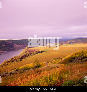 Vallée de la rivière de la paix et des terres agricoles / champs de céréales au moment de la récolte, près de Fort St John, le nord de la Colombie-Britannique, Canada Banque D'Images