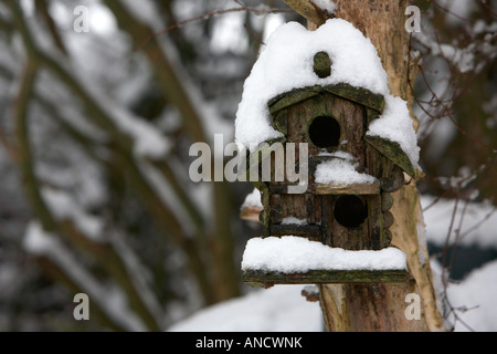 Petite cabane en bois rond couvert dans la neige profonde suspendue à un arbre dans un jardin Banque D'Images