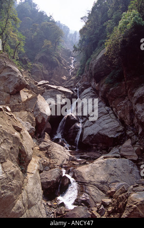 Ruisseau de montagne sur la piste à Tsokha, Sikkim, Inde Banque D'Images