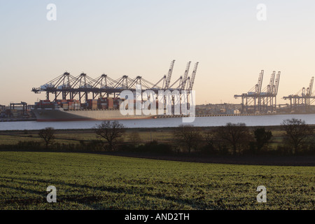 Port de Felixstowe. Banque D'Images