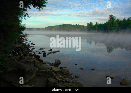 Tôt le matin, la brume de l'augmentation d'un lac dans le désert Banque D'Images