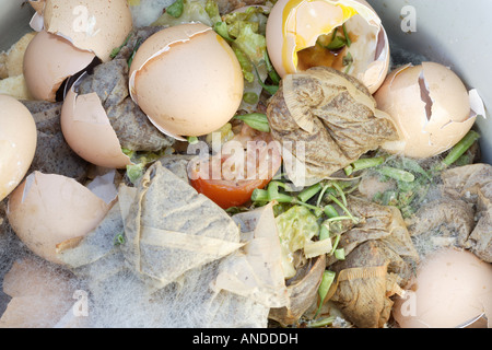 Contenu d'un bac à compost de cuisine Banque D'Images