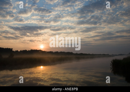 Brume sur la Hickling vaste Norfolk Broads United Kingdom Banque D'Images