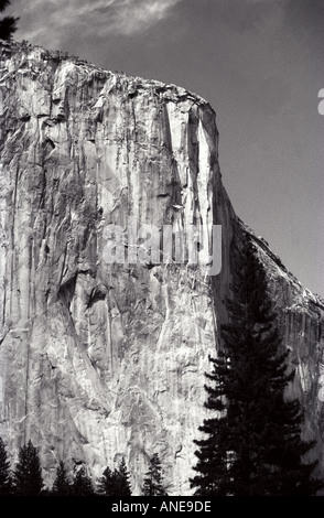 El Capitan Yosemite Banque D'Images