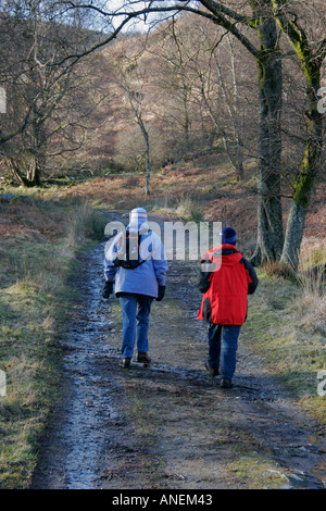 Deux personnes à pied en hiver sur la voie à travers les bois à Glentrool Dumfries et Galloway au sud ouest de l'Écosse Banque D'Images