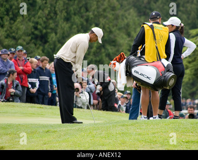 Golfeur Tiger Woods, la mise en balle vert à Adare, Irlande. Banque D'Images