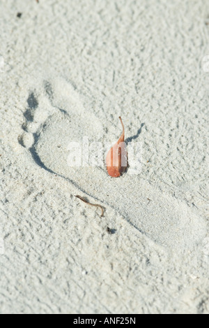 Empreinte dans le sable avec l'leaf Banque D'Images