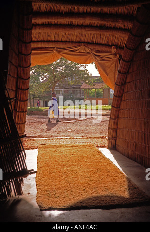 Lycéenne à pied par le faisceau de l'entrée du site des tombes de Kasubi Kampala Ouganda Afrique de l'Est Banque D'Images