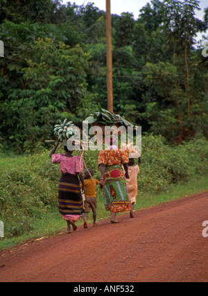 Les femmes autochtones dans des vêtements traditionnels colorés à pied transporter marchandises et des faisceaux de bananes sur la tête de l'Afrique de l'Est Tanzanie Kisessa Banque D'Images