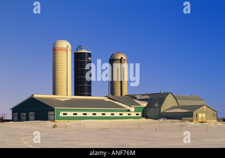 En hiver ferme près d'Ottawa, Ontario, Canada. Banque D'Images