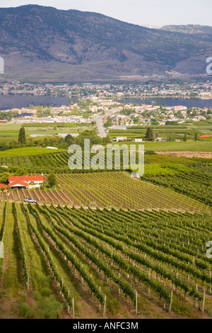 View of vineyard et ville d'Osoyoos sur le lac Osoyoos, Colombie-Britannique, Canada. Banque D'Images