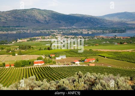 View of vineyard et ville d'Osoyoos sur le lac Osoyoos, Colombie-Britannique, Canada. Banque D'Images