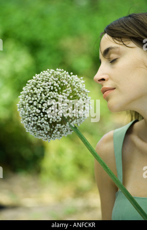 Woman smelling allium fleur, les yeux clos, profile Banque D'Images