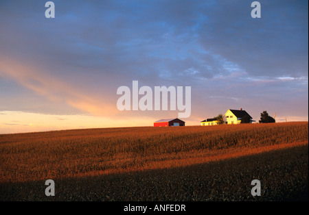 Les champs de maïs et de la ferme au coucher du soleil, Nova Scotia, canada Banque D'Images