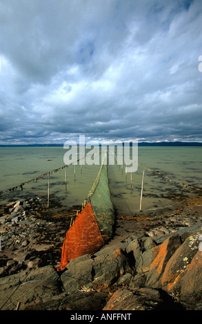 Filets de Weir, Kamouraska, Québec, QC, Canada Banque D'Images