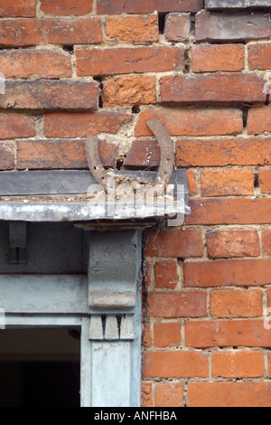 La chance à cheval sur un bâtiment abandonné Banque D'Images