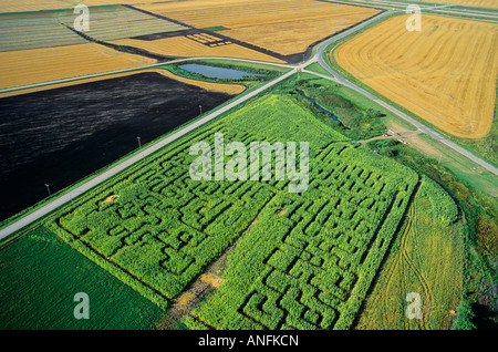 Labyrinthe de maïs, au Manitoba, Canada. Banque D'Images