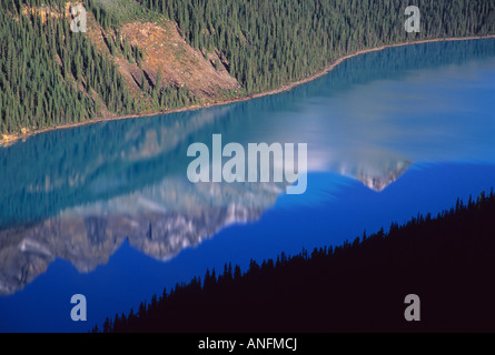 Les sommets environnants en réfléchissant sur le Lac Peyto, Banff National Park, Alberta, Canada. Banque D'Images