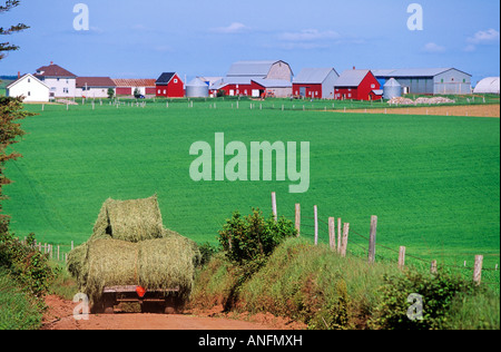 Les balles rondes sur une charrette de foin, Park, Prince Edward Island, Canada. Banque D'Images