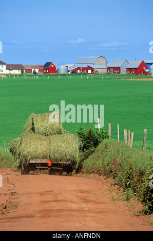 Les balles rondes sur une charrette de foin, Park, Prince Edward Island, Canada. Banque D'Images