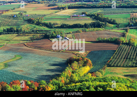 Ferme et les vergers de Blomidon, Lookout, en Nouvelle-Écosse, Canada. Banque D'Images