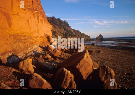 Le parc provincial de Five Islands, en Nouvelle-Écosse, Canada. Banque D'Images