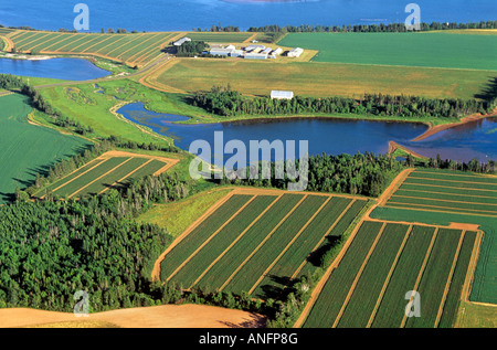 Vue aérienne de la ferme de pommes de terre, l'île Fox, Prince Edward Island, Canada. Banque D'Images