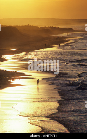 Les gens qui marchent sur la plage de Cavendish, de l'île Parc National, Prince Edward Island, Canada. Banque D'Images