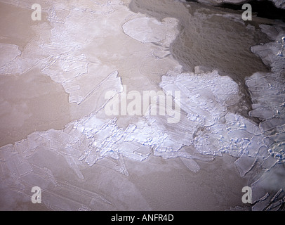 Crêpe de fusion de la glace, de la feuille, la baie d'Hudson, le parc national Wapusk, Manitoba, Canada Banque D'Images