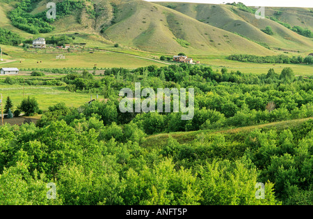 Vue près de Fort Qu'appelle dans la Vallée Qu'Appelle, Saskatchewan, Canada. Banque D'Images