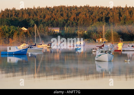 Les bateaux de plaisance et des bateaux de pêche dans la brume à Georges River sur les lacs Bras d'or, l'île du Cap-Breton, Nouvelle-Écosse, Canada. Banque D'Images