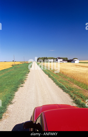 Chariot sur route de campagne à travers champs de blé, le Tiger Hills, au Manitoba, Canada. Banque D'Images