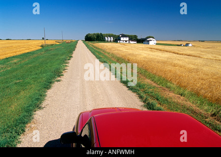 Chariot sur route de campagne à travers champs de blé, le Tiger Hills, au Manitoba, Canada. Banque D'Images