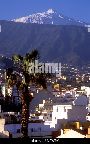 Tenerife - Vue sur Puerto de la Cruz en regardant vers le Mont Teide enneigé Banque D'Images