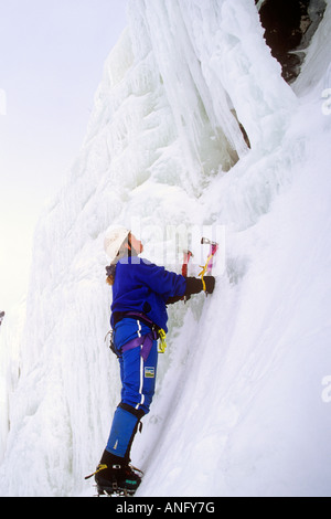 Ice Climber scaling mur glacé de Baker's Brook Pond, le parc national du Gros-Morne, à Terre-Neuve, Canada. Banque D'Images