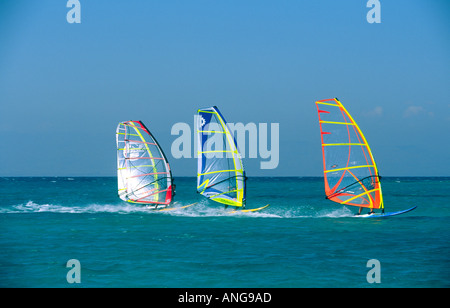 Groupe de quatre planches à voile en formation serrée sur l'eau bleu de Mer Rouge Sinaï Égypte Banque D'Images