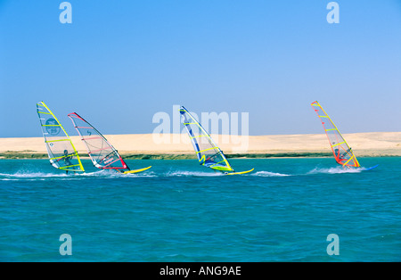 Quatre planches à voile en ligne sur la Mer Rouge près de la rive du désert du Sinaï, Égypte Banque D'Images