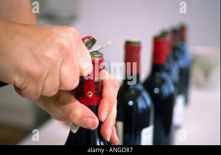 Bouteille de vin ayant l'opercule enlevé avec un couteau avant d'ouvrir, dans une ligne de bouteilles sombres semblables à une dégustation de vin Banque D'Images