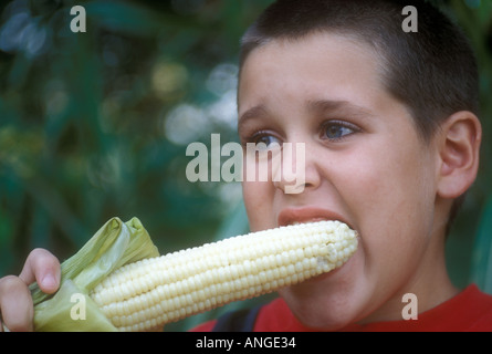 Boy eating Corn on the Cob Banque D'Images