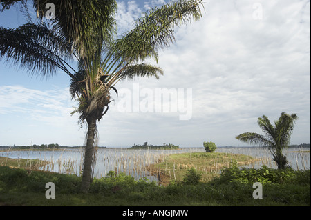 Le réservoir de Rhône-Alpes dans l'intérieur du Suriname (vue du village d'Lebidoti marron. Banque D'Images