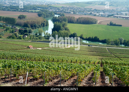 La vallée de la Marne dans la région Champagne de France et l'Europe de l'UE. Vignes en vignes donnent sur la rivière Marne Banque D'Images