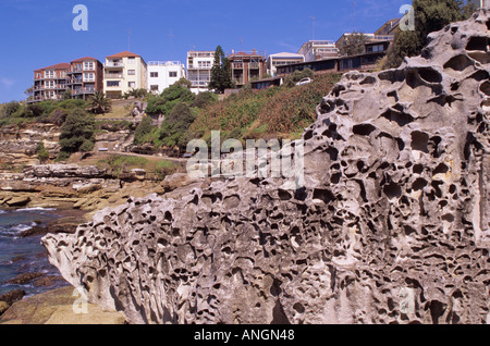 Maisons sur falaise, Bondi à Coogee célèbre promenade côtière, Sydney NSW, Australie. Banque D'Images